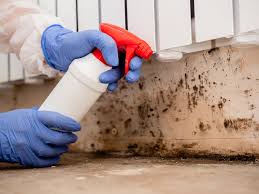 Best Commercial Mold Inspection  in Danvle, IL